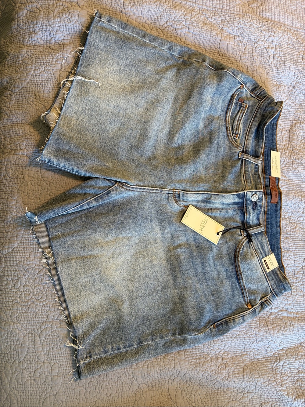 Judy Blue Light Blue Frayed Hem Denim Shorts